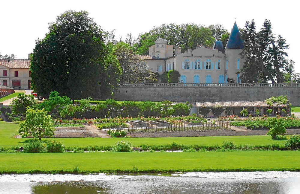 Viñedo Château Lafite.